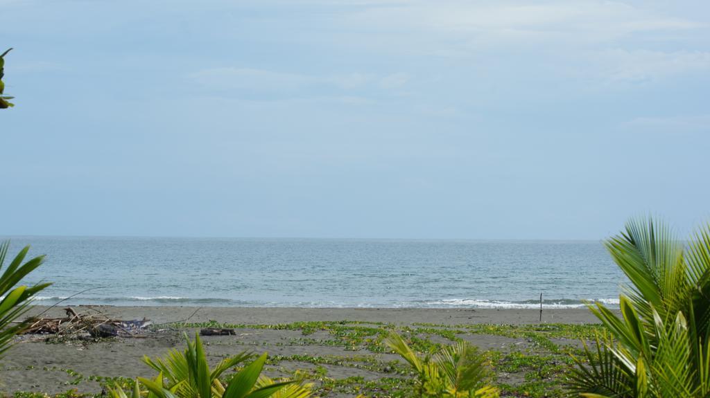 Lirio Lodge Barra de Pacuare 외부 사진