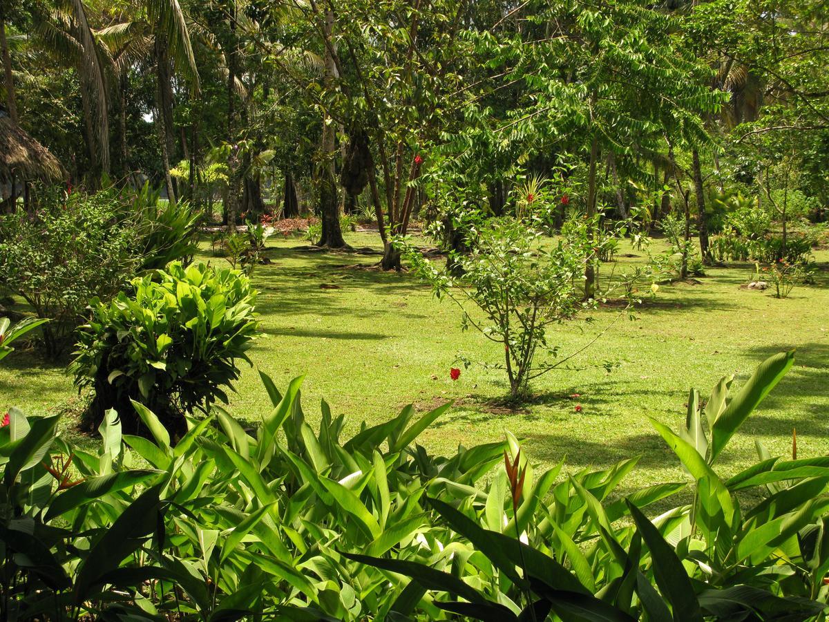 Lirio Lodge Barra de Pacuare 외부 사진