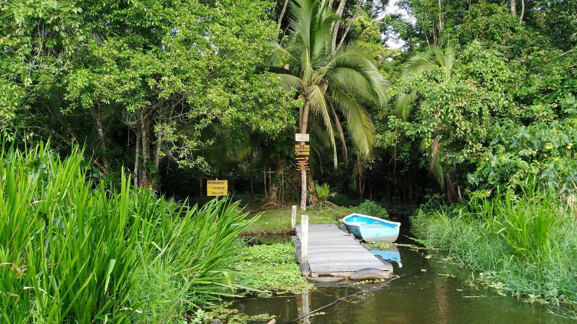 Lirio Lodge Barra de Pacuare 외부 사진