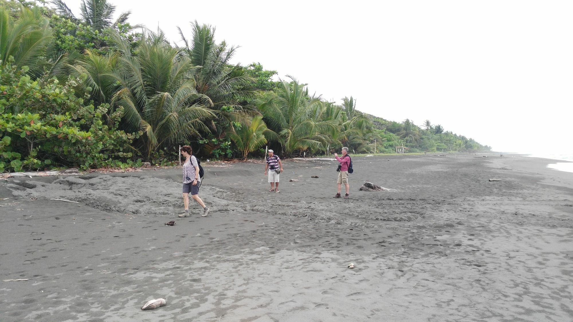 Lirio Lodge Barra de Pacuare 외부 사진