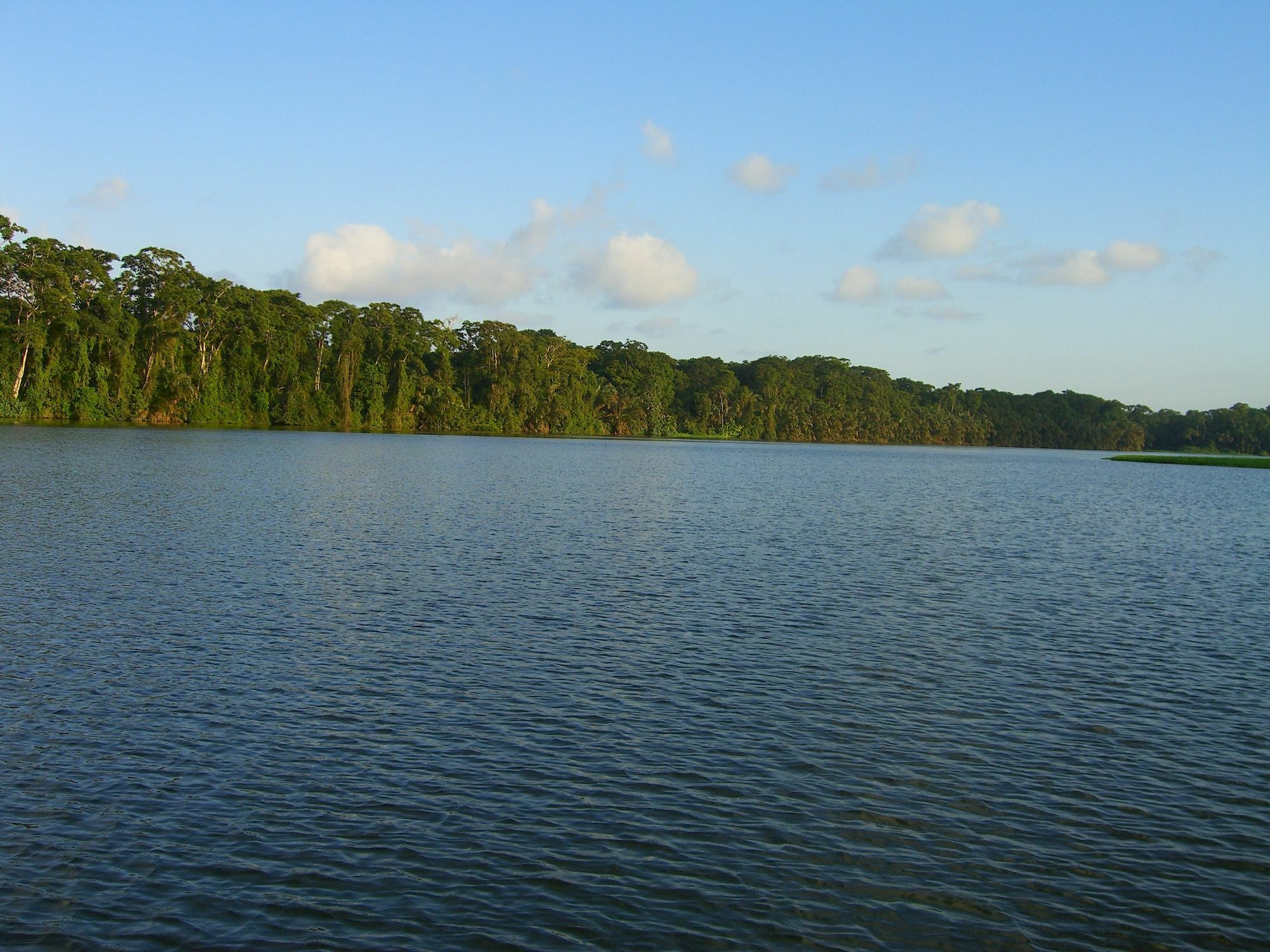 Lirio Lodge Barra de Pacuare 외부 사진