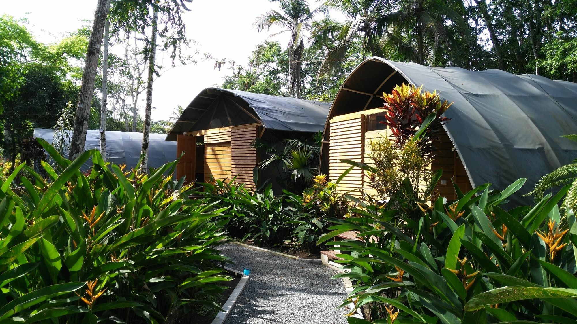 Lirio Lodge Barra de Pacuare 외부 사진