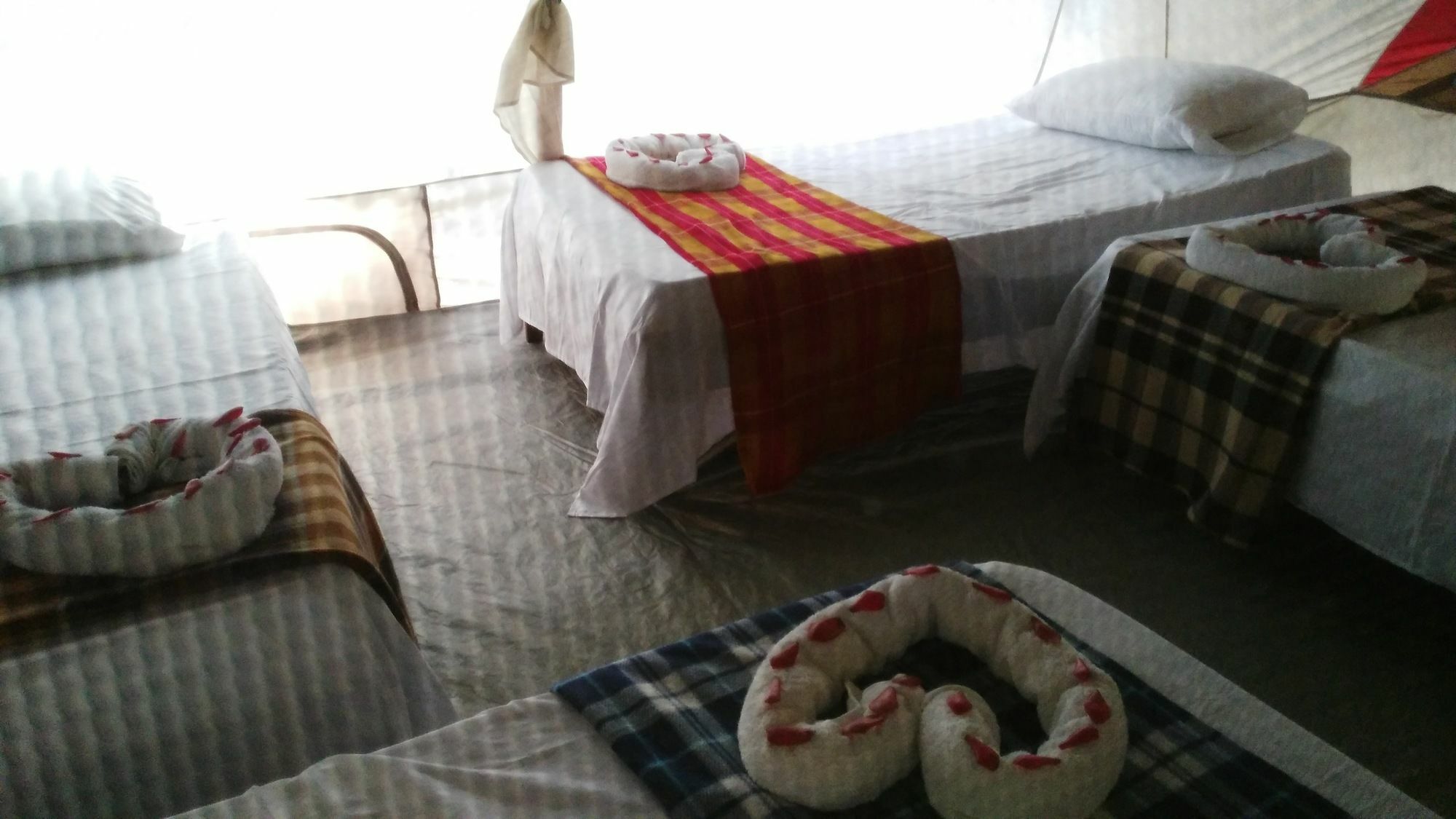 Lirio Lodge Barra de Pacuare 외부 사진