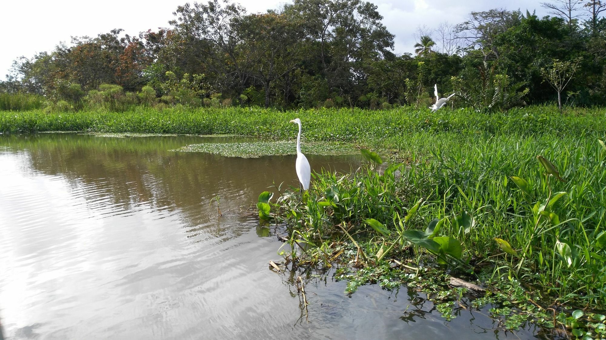 Lirio Lodge Barra de Pacuare 외부 사진